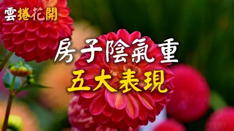 陰氣重的房子如何破解